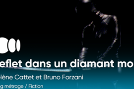 Filmmotiv Reflet dans un diamant mort (c) WBImages